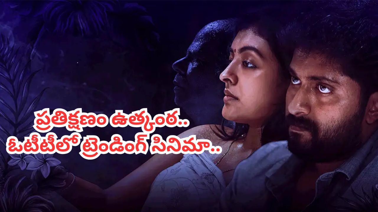 Cinema : ప్రియుడితో కలిసి అత్త హత్య.. కొడలిపై మామ భయంకరమైన ప్రతీకారం.. ఓటీటీలో ఈ సినిమా చూస్తే వణుకే..