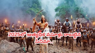 Cinema : 2025లో అత్యధిక కలెక్షన్స్ రాబట్టిన సినిమా ఇదే.. సరికొత్త రికార్డ్స్ సృష్టించిన మూవీ..