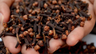 ఆవు నెయ్యి vs గేదె నెయ్యి.. ఆరోగ్యానికి ఏది బెస్ట్? ఆ సీక్రెట్‌ ఏంటంటే..