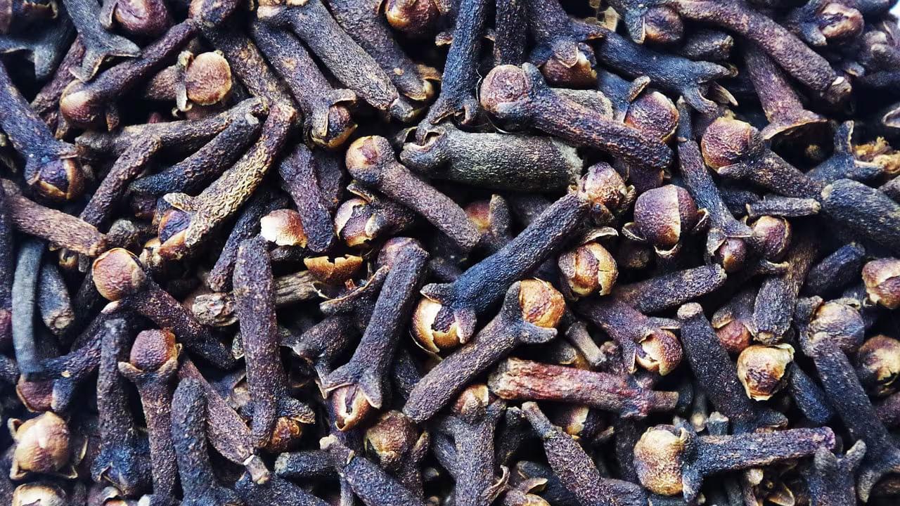 లవంగాలు రోగనిరోధక శక్తిని పెంచడమే కాకుండా ,ఇన్ఫెక్షన్స్‌తో పోరాడే శక్తి స్థాయిలను అందిస్తుంది. ఎందుకంటే? ఇందులో యాంటీ బ్యాక్టీరియల్, యాంటీ ఫంగల్, యాంటీ వైరల్ లక్షణాలు శరీరానికి తక్షణ శక్తిని అందిస్తాయి. అంతే కాకుండా ,ఇవి రోజూ తినడం వలన  గొంతు ఇన్ఫెక్షన్, నోటి బ్యా్క్టీరియా, శ్వాకోశ క్రిములను నాశనం చేసి, ఆరోగ్యాన్ని కాపాడుతుంది. ఇది మీ రక్షణకు ఎంతగానో ఉపయోగపడుతుంది.