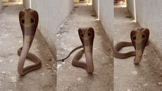 బాబుతో బిజినెస్ మామూలుగా ఉండదు.. రెండురోజుల్లో రూ. 9 లక్షల కోట్లు!