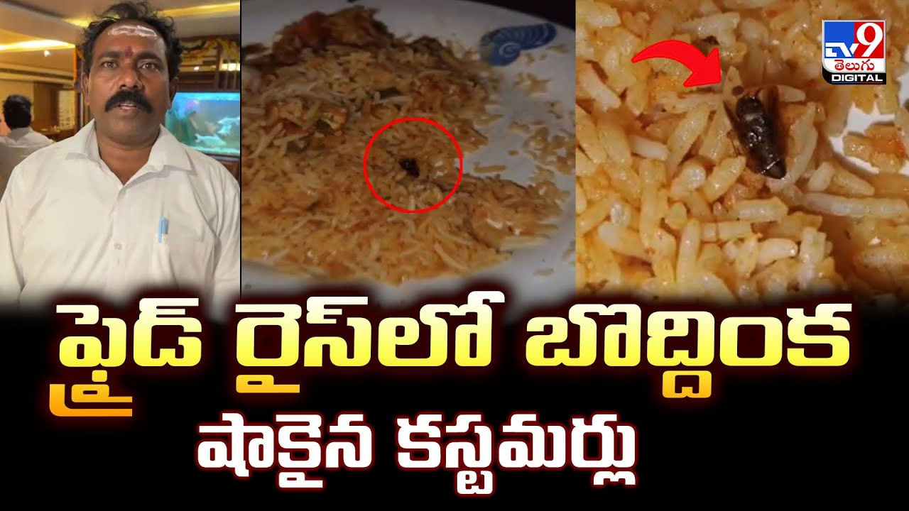 ఫ్రైడ్ రైస్‌లో బొద్దింకషాకైన కస్టమర్లు