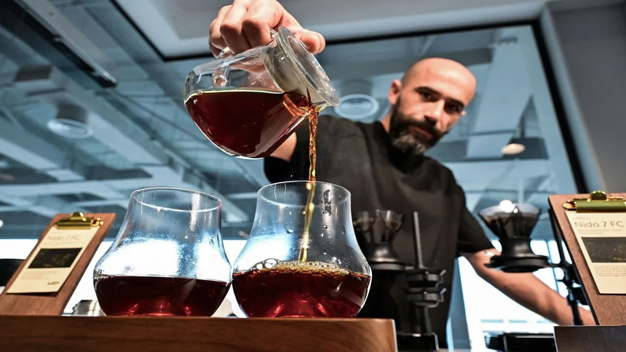 ఈ ఖరీదైన కాఫీ పేరు "నిడో 7 గీషా" ఈ కాఫీ ఇంత ఖరీదైనగా ఉండడానికి కారణం.. రెస్టారెంట్ యాంబియన్సో, లేదా కాపీ కప్పు విలువో కాదు.. కాఫీలో వాడే నక్షత్రం కాఫీ గింజలు. ఇవి చాలా ప్రత్యేకమైనవి. ఈ కాఫీ గింజలను పనామా నుండి దిగుమతి చేసుకుంటారు.