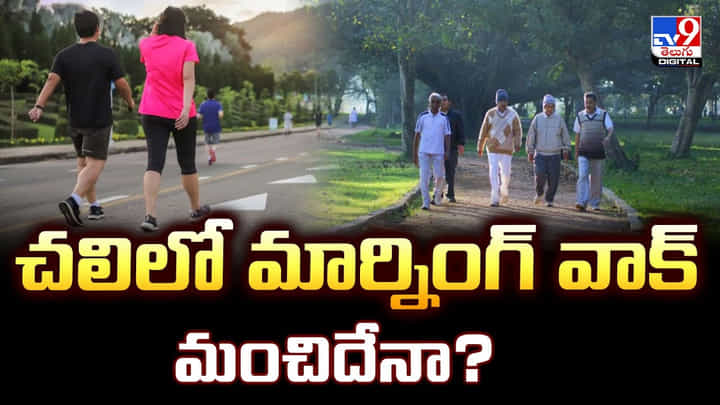 చలిలో మార్నింగ్ వాక్ మంచిదేనా? వీడియో చలిలో మార్నింగ్ వాక్ మంచిదేనా? వీడియో