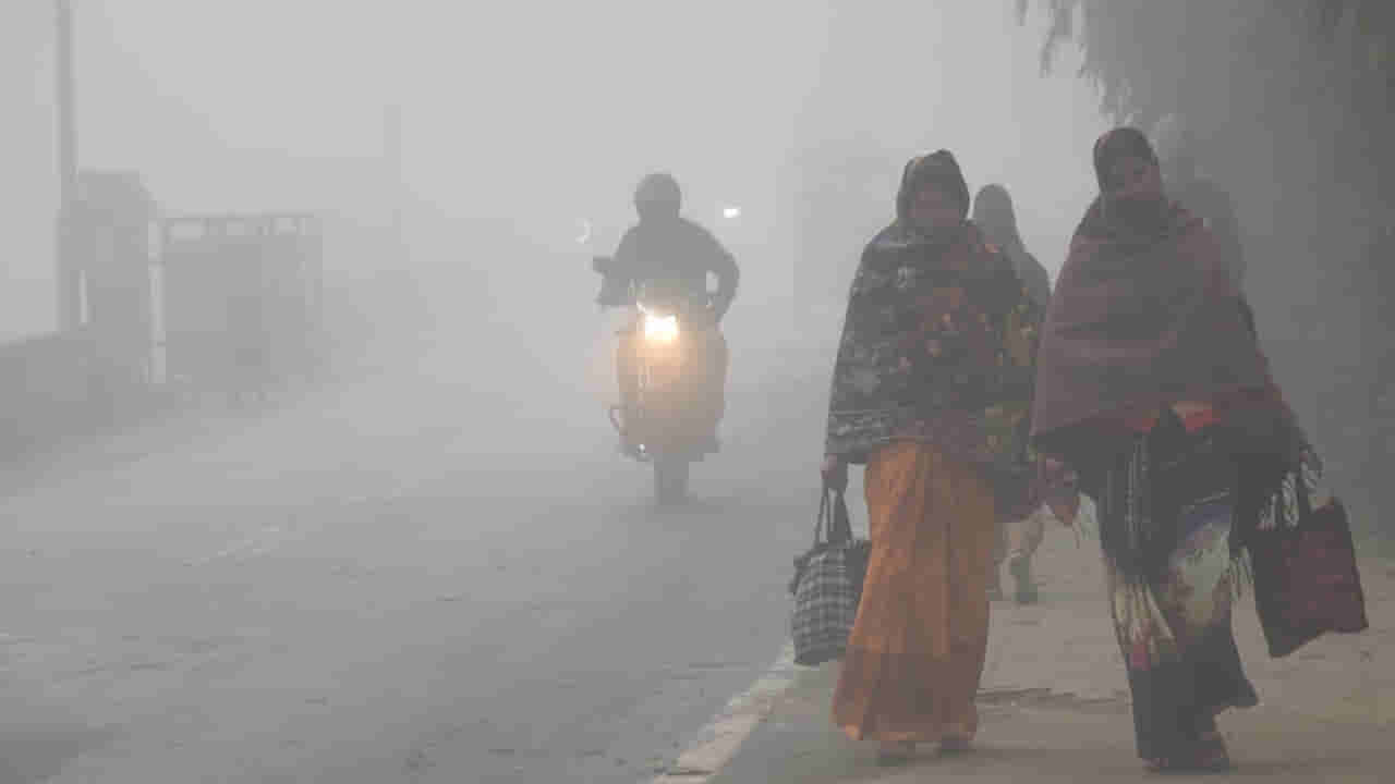 Telangana: చలి చంపేస్తోంది బాబోయ్.. అవసరం ఉంటేనే బయటకు రండి.. వాతావరణ శాఖ హెచ్చరికలు