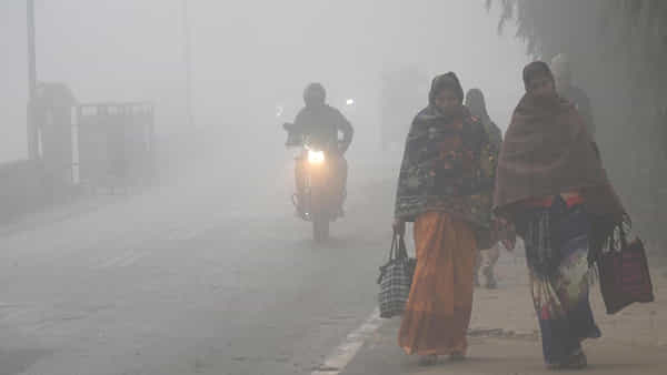 Telangana: చలి చంపేస్తోంది బాబోయ్.. అవసరం ఉంటేనే బయటకు రండి.. వాతావరణ శాఖ హెచ్చరికలు
