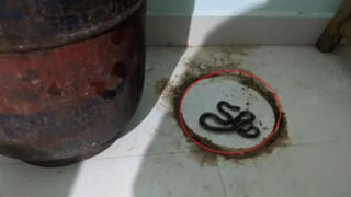 Rain Alert: ముంచుకొస్తున్న మరో తుఫాన్.. 2 రోజుల్లో బంగాళాఖాతంలో అల్పపీడనం!