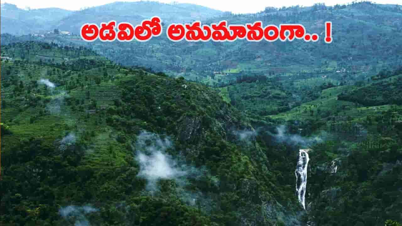 హైదరాబాద్ నుంచి తమిళనాడు కూనూరు అడవుల్లోకి వెళ్లి ఇదేం పని..!