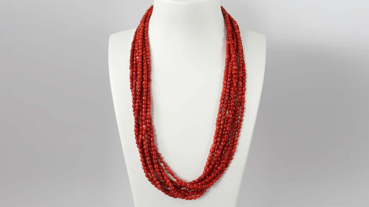 Coral Chain Pic