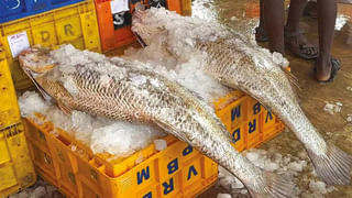 Scrap Earns: స్క్రాప్ అని తీసి పారేయకండి.. కేంద్రానికి భారీ సంపాదన.. చంద్రయాన్‌ 3 ఖర్చు కంటే ఎక్కువ ఆదాయం