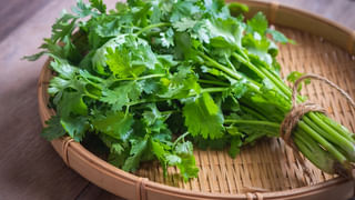 ఉదయాన్నే కడుపులో గ్యాస్, మంటతో ఇబ్బంది పడుతున్నారా..?ఈ సింపుల్‌ టిప్స్‌తో ఇట్టే తగ్గిపోతుంది..!