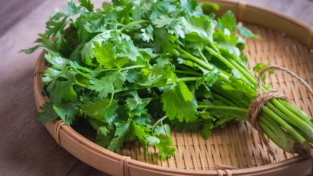 Kitchen Tips: కొత్తిమీరను ఫ్రిజ్లో పెట్టినా కూడా చెడిపోతుందా? ఇలా చేస్తే ఎప్పుడు తాజాగా..!