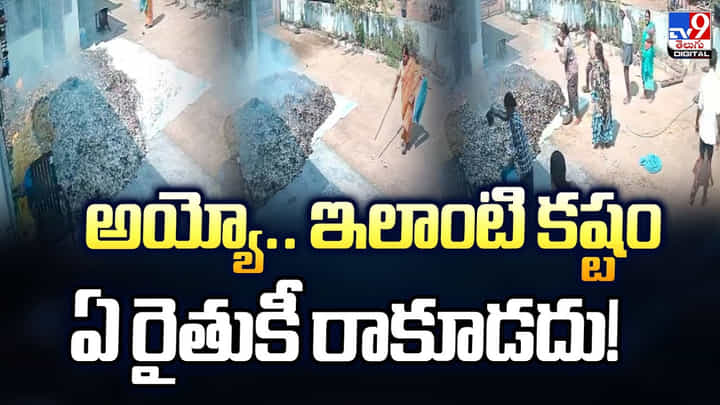 అయ్యో.. ఇలాంటి కష్టం ఏ రైతుకీ రాకూడదు! అయ్యో.. ఇలాంటి కష్టం ఏ రైతుకీ రాకూడదు!