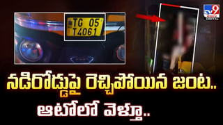 హే కోతి లెవ్! అది బండరాయి కాదే.. బట్టతల.. దిగు.. దిగు