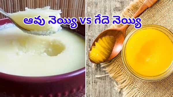 ఆవు నెయ్యి vs గేదె నెయ్యి.. ఆరోగ్యానికి ఏది బెస్ట్? ఆ సీక్రెట్ ఏంటంటే..