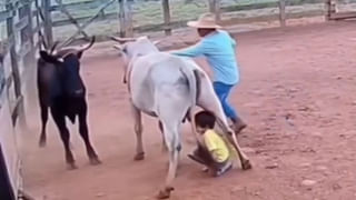 Viral Video: రీల్‌ కోసం ఇలా ప్రాణాలు ఫణంగా పెట్టడం అవసరమా బ్రో… సోషల్‌ మీడియాలో షాకింగ్‌ వీడియో