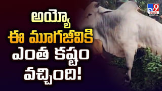 కారు సైడ్ మిర్రర్‌కు డాష్ ఇచ్చాడని.. కక్షతో బైకర్‌ను వెంబడించి మరీ..