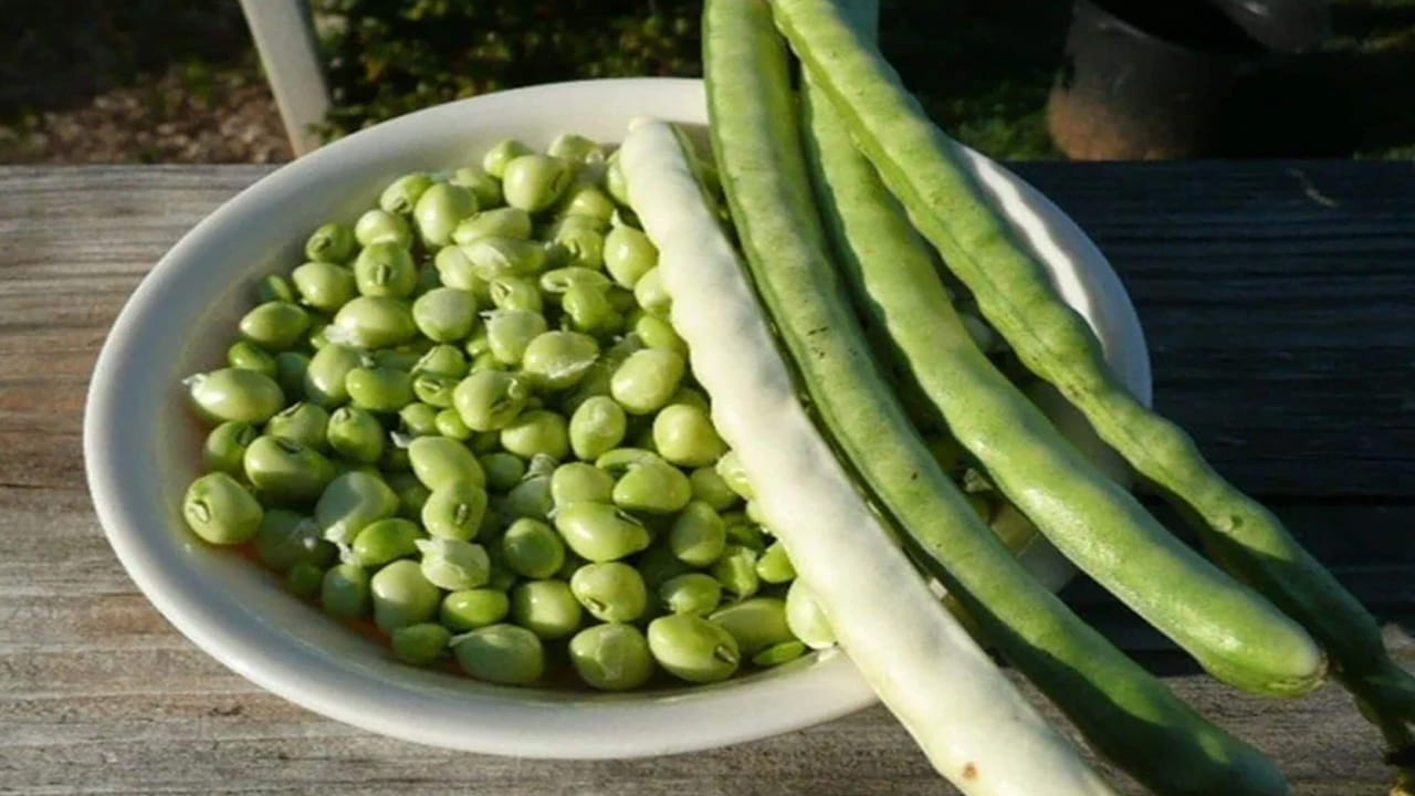 బొబ్బర్లలో ఫైబర్ చాలా ఎక్కువగా ఉంటుంది. ఇది చెడు కొలెస్ట్రాల్ కరిగించి రక్తనాళాలను ఆరోగ్యంగా ఉంచుతుంది. దీంతో గుండె ఆరోగ్యంగా ఉంటుంది. . బొబ్బర్ల లో ఉండే ఫ్లేవనాయిడ్స్, పొటాషియం, మెగ్నీషియం, మినరల్స్ మన గుండె ఆరోగ్యానికి ఎంతో మేలు చేస్తాయి.