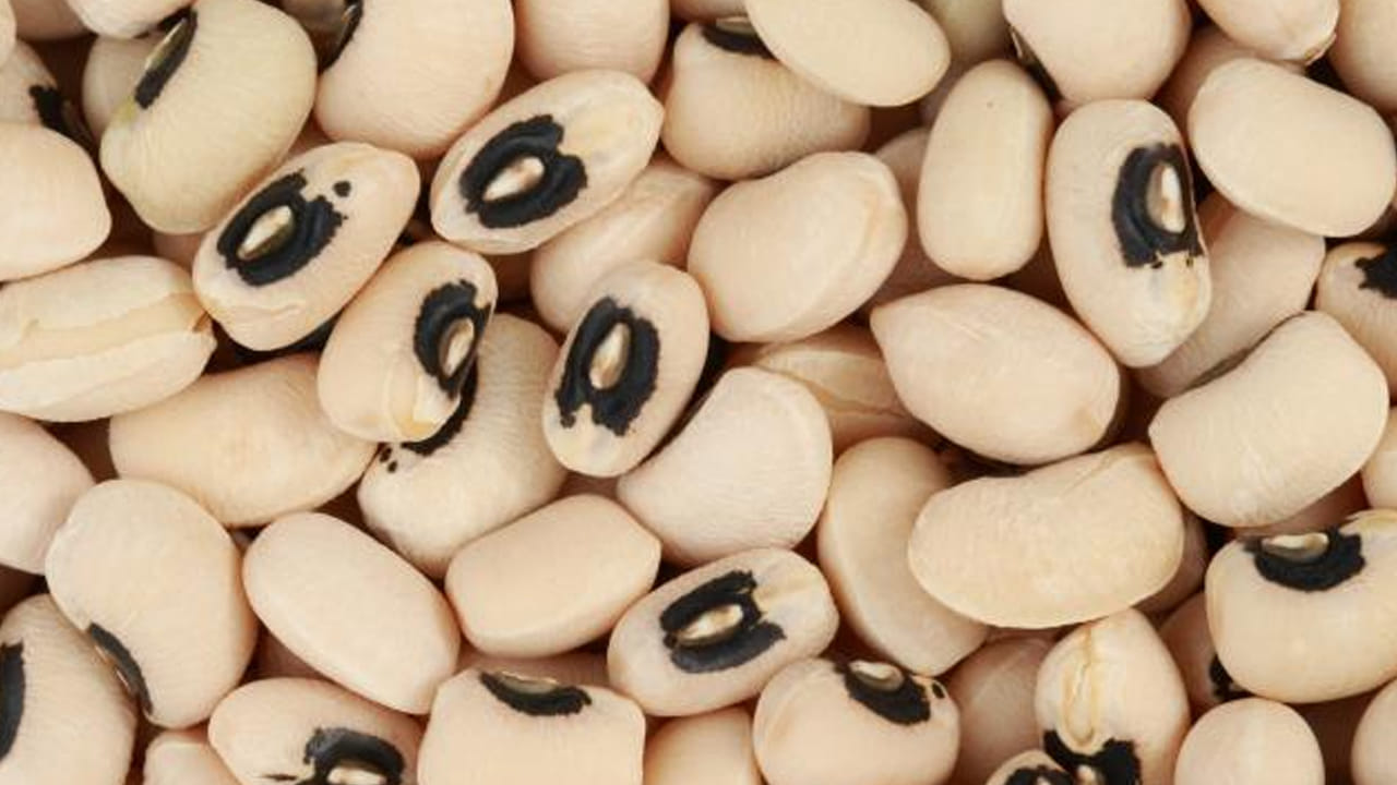 బొబ్బర్లలో గ్లైసెమిక్ ఇండెక్స్ చాలా తక్కువ. అంటే వీటిని తిన్నా కూడా రక్తంలో షుగర్ లెవెల్స్ ఎక్కువగా పెరగవు. దీంతో డయాబెటిస్ ముప్పు నుంచి కాపాడుకోవచ్చు. బొబ్బర్లలో ఫైబర్ ఎక్కువగా ఉంటుంది. ఇది పేగు కదలికలను మెరుగుపరుస్తుంది. దీంతో మలబద్ధకం సమస్య నుంచి కాపాడుకోవచ్చు.
