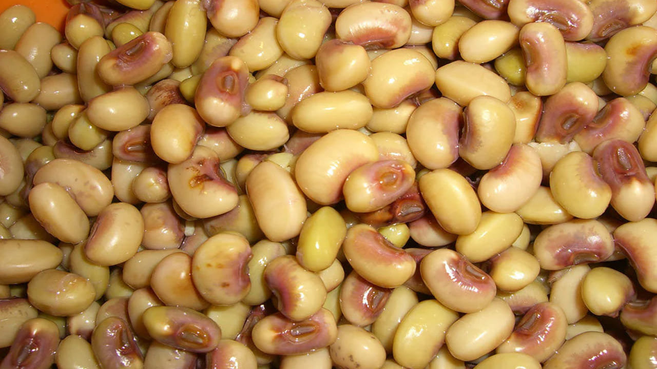 బొబ్బర్లలో విటమిన్ ఎ కూడా ఉంటుంది. ఇది కళ్లను ఆరోగ్యంగా ఉంటుంది. వయసు పెరిగినా కంటిచూపు తగ్గకుండా కాపాడుతుంది. బొబ్బర్లలో యాంటీ ఆక్సిడెంట్లు ఉంటాయి. ఇవి ఫ్రీ రాడికల్స్ నుంచి చర్మకణాలను రక్షిస్తాయి. తద్వారా చర్మ సమస్యలు రాకుండా కాపాడుకోవచ్చు. చర్మ రంధ్రాలు తెరుచుకునేలా చేస్తుంది. 
