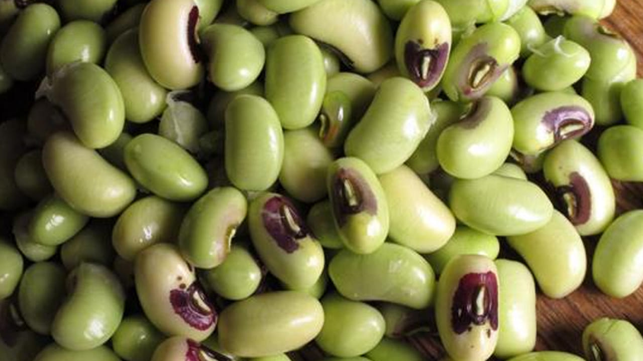 బొబ్బర్లలో ఐరన్, ఫోలేట్ వంటి పోషకాలు మెండుగా ఉంటాయి. ఇవి ఎర్ర రక్తకణాల సంఖ్య పెంచి రక్తహీనత దూరం చేస్తాయి. అందుకే రక్తహీనత ఉన్నవారు ఈ బొబ్బర్లు తినడం చాలా మంచిది.
