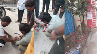 Telangana: వానరానికి కరెంట్ షాక్.. వెంటనే CPR చేసిన స్థానికులు.. కాసేపటికి…