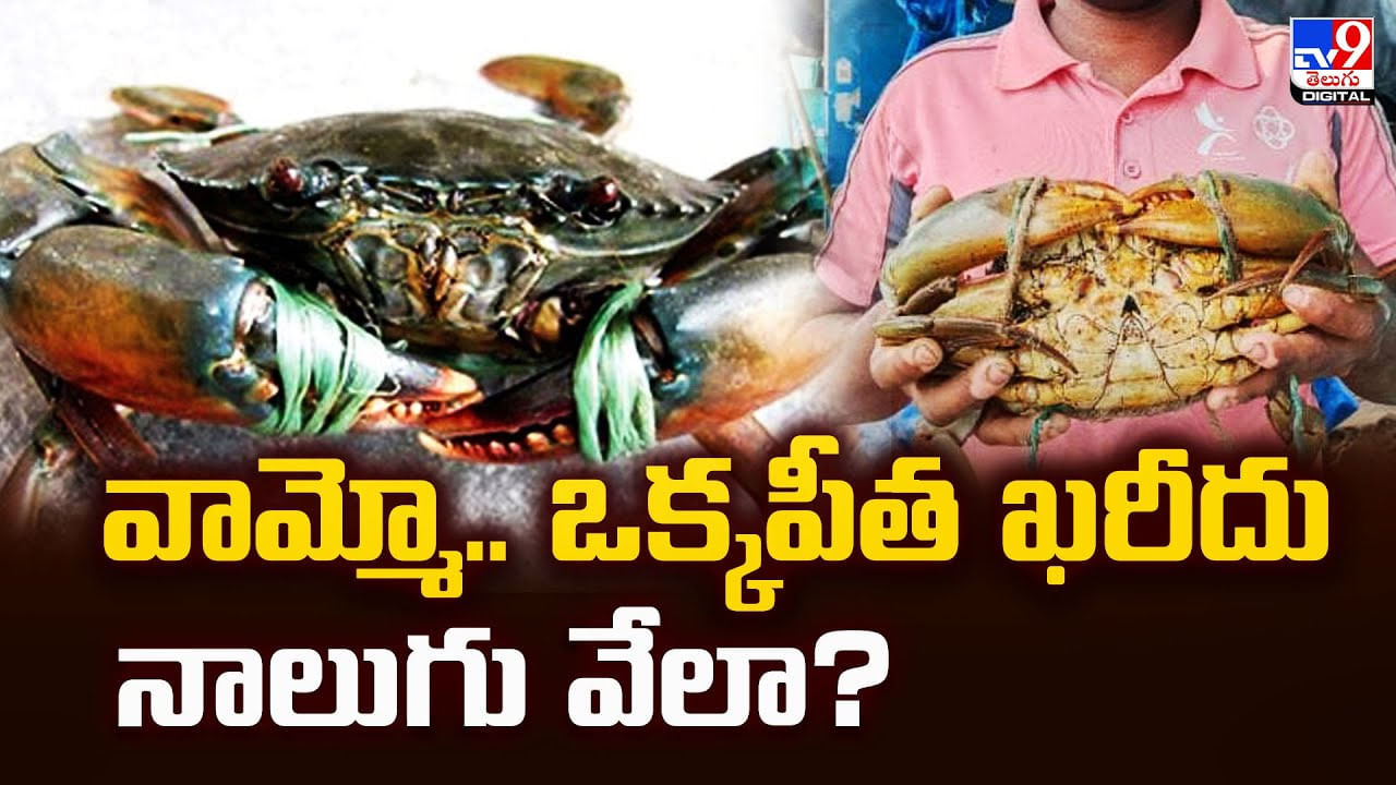 వామ్మో.. ఒక్కపీత ఖరీదు నాలుగు వేలా ?? వామ్మో.. ఒక్కపీత ఖరీదు నాలుగు వేలా ??