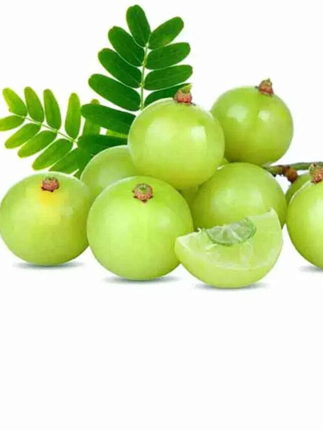 చలికాలంలో ఉసిరి చేసే మాయే వేరు.. తింటే ఎన్ని లాభాలో..