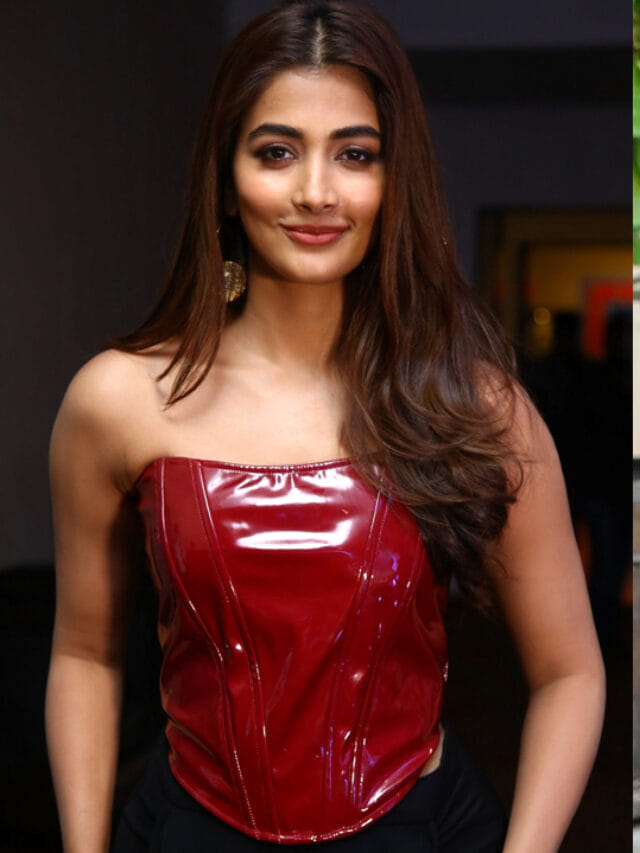 ఇంకా ఎన్నాళ్ళు .. పూజా పాప ఫ్యాన్స్ కళ్లు కాయలు కాసేలా ఉన్నాయి