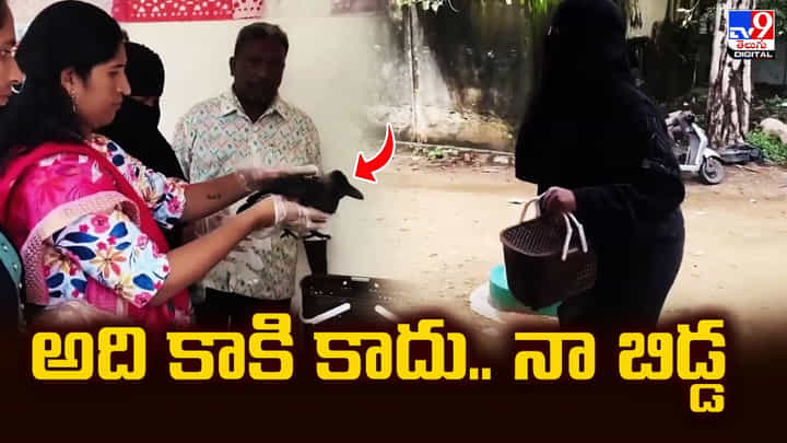 Viral Video: అది కాకి కాదు.. నా బిడ్డ.. చికిత్స చేయించిన యూసుఫ్ Viral Video: అది కాకి కాదు.. నా బిడ్డ.. చికిత్స చేయించిన యూసుఫ్
