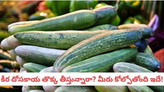 Cashew Nuts: జాడిపప్పు ధర ఎందుకు అందనంత ఎత్తులో ఉంటుందో తెలుసా?