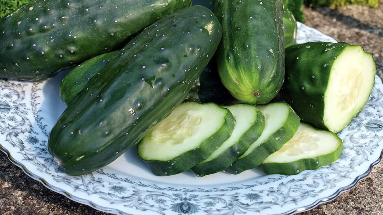 Cucumber In Plate