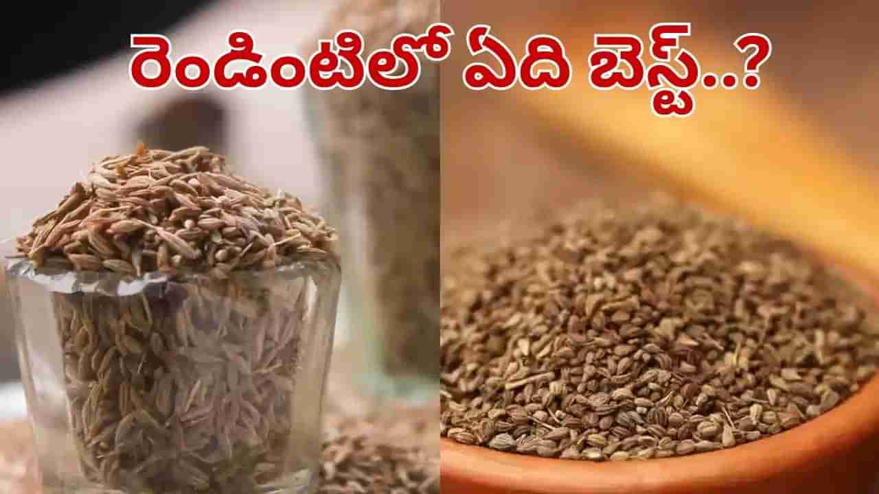 Weight Loss: జీలకర్ర Vs వాము.. బరువు తగ్గడానికి ఏది బెస్ట్.. ఇది తాగితే వెంటనే..