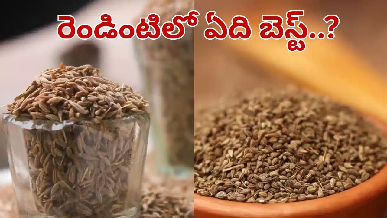 Weight Loss: జీలకర్ర Vs వాము.. బరువు తగ్గడానికి ఏది బెస్ట్.. ఇది తాగితే వెంటనే..
