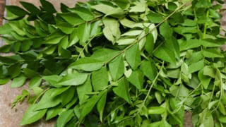 Buy Best Onions: ఉల్లిపాయలు కొనేముందు ఈ విషయాలు కచ్చితంగా గుర్తుంచుకోండి.. లేదంటే మీకే నష్టం