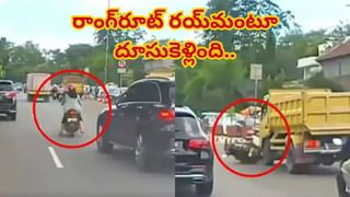 Watch: పులిని పట్టుకునేందుకు వచ్చిన ఏనుగు.. అదుపుతప్పి ఏం చేసిందంటే..