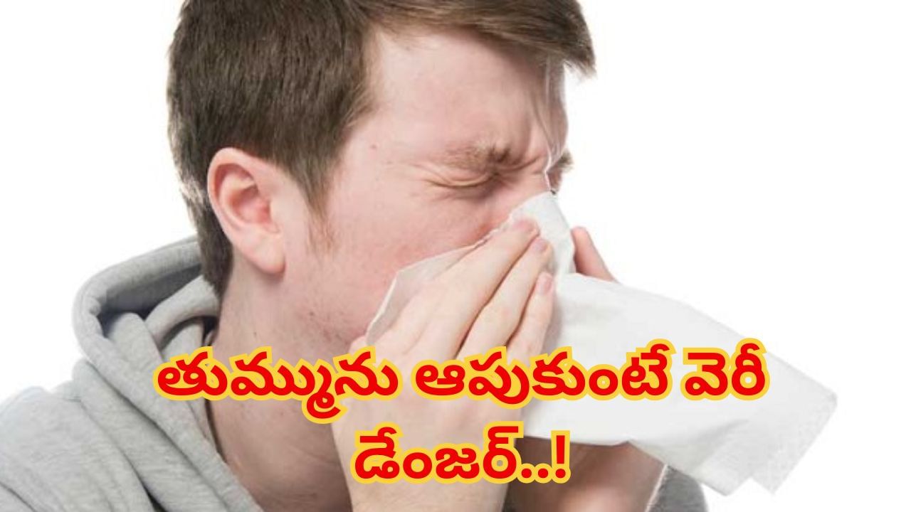Sneezing Risks : ఓరీ దేవుడో..తుమ్మును ఆపుకుంటే ఎంత డేంజరో తెలుసా…?