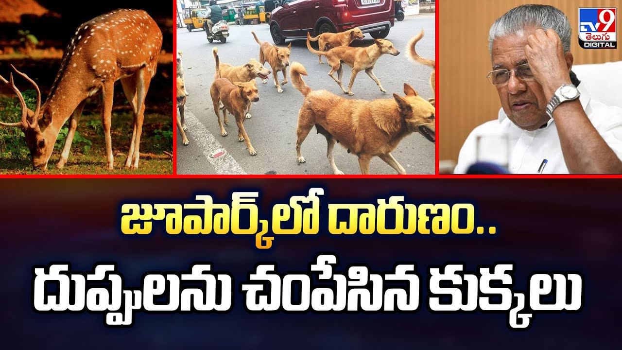 జూపార్క్‌లో దారుణం.. దుప్పులను చంపేసిన కుక్కలు