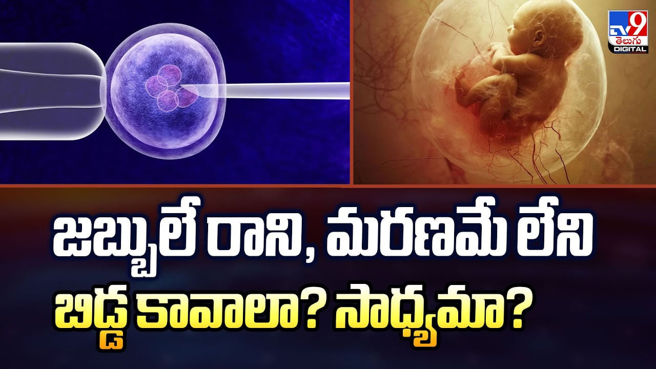 జబ్బులే రాని, మరణమే లేని బిడ్డ కావాలా? సాధ్యమా ??