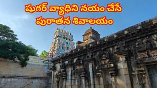 పెంపుడు కుక్కకు ఘనంగా సీమంతం..అందమైన వీడియో చూస్తే ఫిదా అవ్వాల్సిందే..