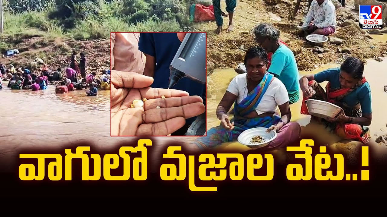 Nallamala: అప్పుడు కల్యాణానికి వజ్రాల తలంబ్రాలు.. కట్ చేస్తే ఇప్పుడు వజ్రాల వేట