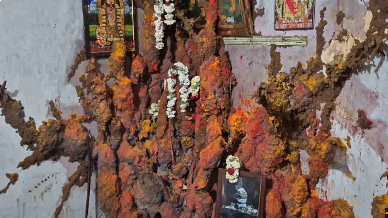 Andhra: ఇంటి టైల్స్ చీల్చుకుని వెలసిన అమ్మవారు.. ఏపీలో ఆశ్చర్యకర ఘటన