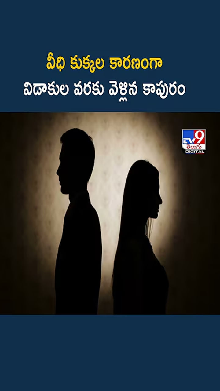 కాపురాన్ని కూల్చిన వీధి కుక్కలు.. విడాకులకు వెళ్లిన జంట..