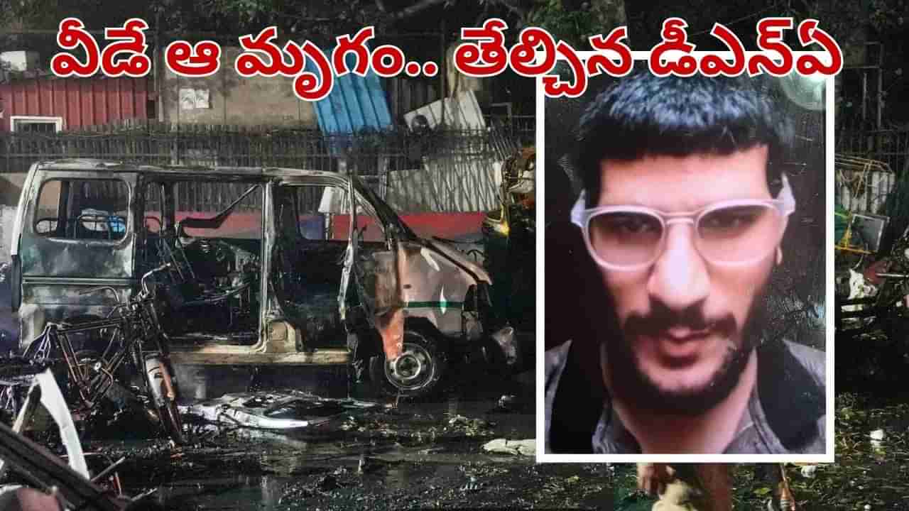 Delhi Blast: బాంబు పేల్చిన మృగం వీడే.. తేల్చిన డీఎన్ఏ.. వెలుగులోకి సంచలన విషయాలు..