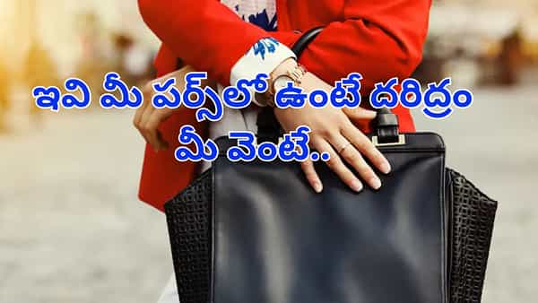 హాలో లేడీస్.. మీ పర్స్లో ఈ వస్తువులు ఉన్నాయా.. ? దరిద్రం మీ వెంట ఉన్నట్టే..