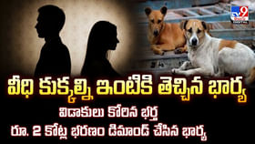 వీధి కుక్కల్ని ఇంటికి తెచ్చిన భార్య .. విడాకులు కోరిన భర్త వీడియో