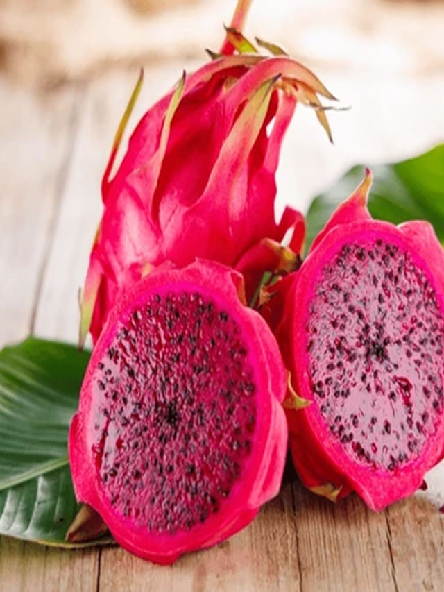 చలికాలంలో రోగాలకు దడ పుట్టించే పండు ఇది..