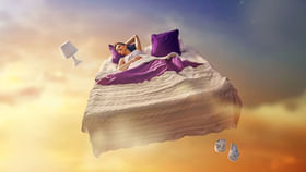 అలాంటి కలలు వస్తున్నాయా.? జర భద్రం.. వాటికీ సంకేతం కావచ్చు..