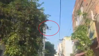 నగరం నడిబొడ్డున ప్రత్యక్షమైన చెరువు.. బస్టాండ్ ప్రాంగణంలో పడవ ప్రయాణం..!