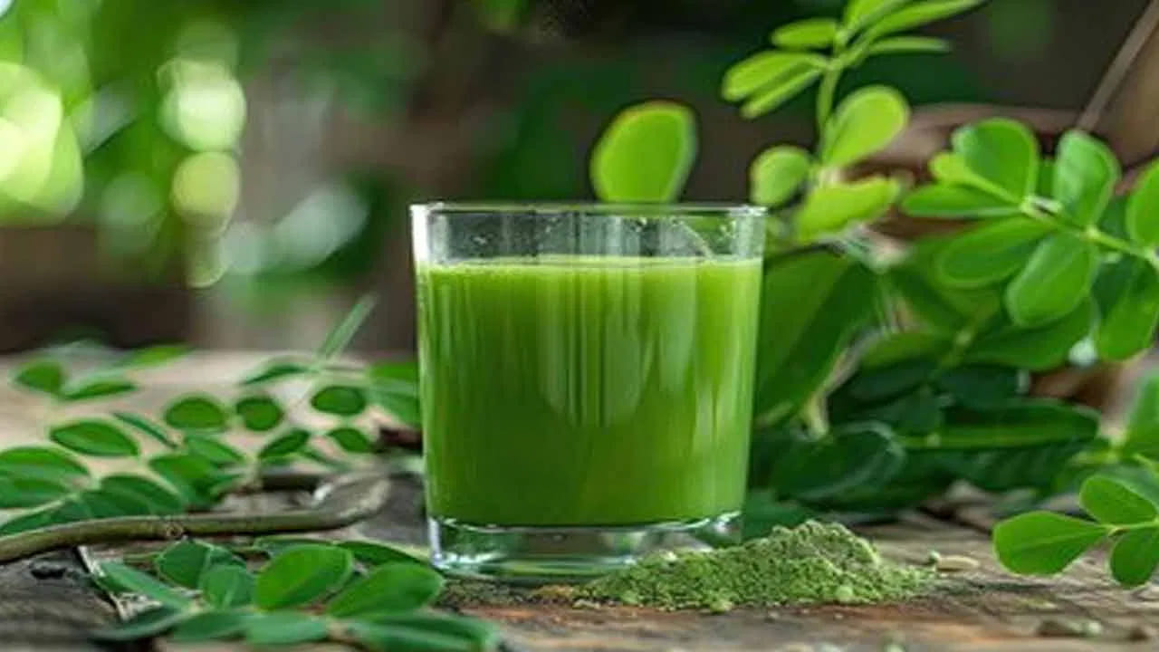 జీర్ణక్రియ - శక్తి: మునగ ఆకులలో ఫైబర్, సమృద్ధిగా ఉంటుంది. ఇది జీర్ణ సమస్యలకు పరిష్కారంగా పనిచేస్తుంది. ముఖ్యంగా రాత్రిపూట మునగ ఆకు నీటిని తాగడం వల్ల ఉదయం మలబద్ధకం సమస్యను నివారించవచ్చు. శరీరానికి తక్షణ శక్తిని అందించడానికి మునగ ఆకు నీరు చాలా మంచిది. ఇందులో ఉండే ఐరన్, విటమిన్ సి అలసటను దూరం చేసి, రోజువారీ పనులకు అవసరమైన శక్తిని అందిస్తాయి.
